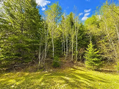 M1978L142D Love Lake Road Crawford ME 04694