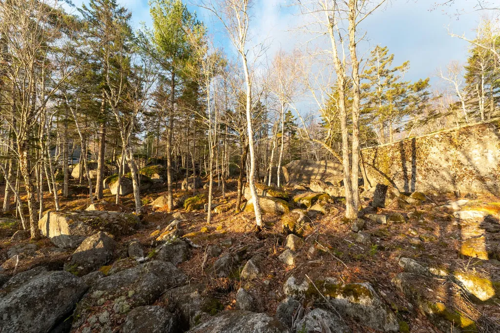 Lot #20 Sargent Drive Ellsworth ME 04605