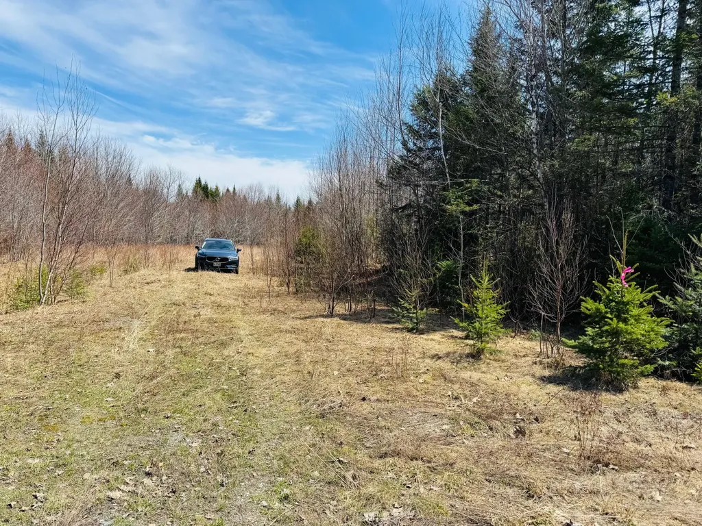1B Aroostook Scenic Highway Hersey ME 04780