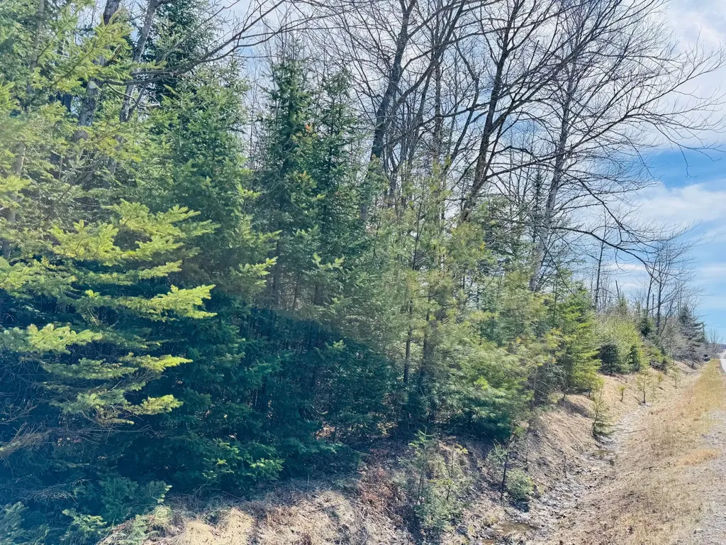 1B Aroostook Scenic Highway Hersey ME 04780