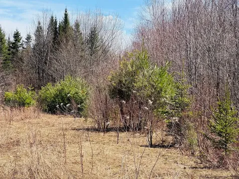 1B Aroostook Scenic Highway Hersey ME 04780