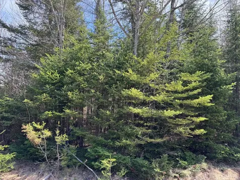 1B Aroostook Scenic Highway Hersey ME 04780