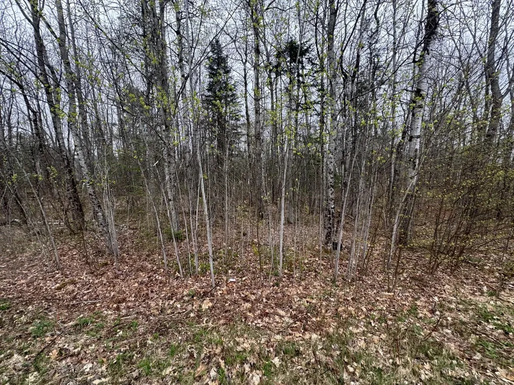 Lot 23 N Dixmont Road Troy ME 04987