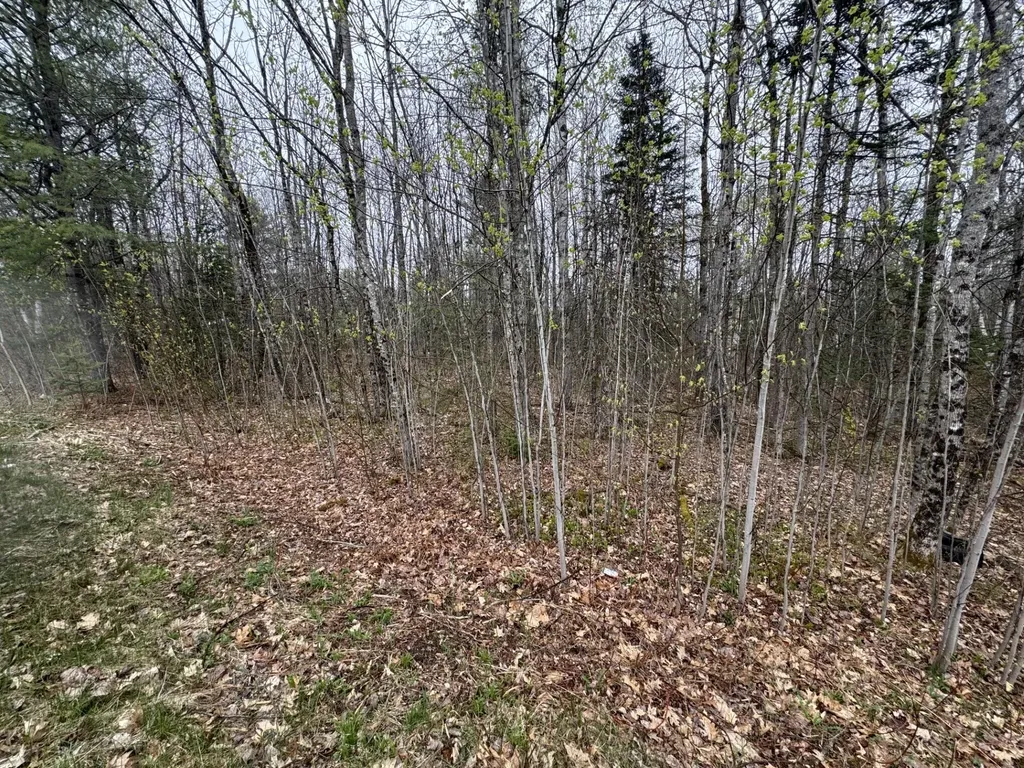 Lot 23 N Dixmont Road Troy ME 04987