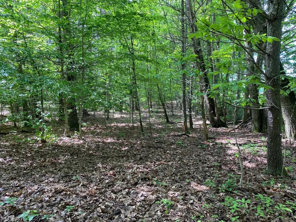34-ACRES Deering Drive Gorham ME 04038