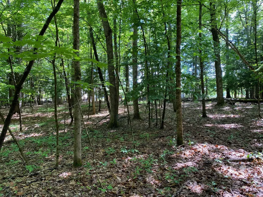 34-ACRES Deering Drive Gorham ME 04038