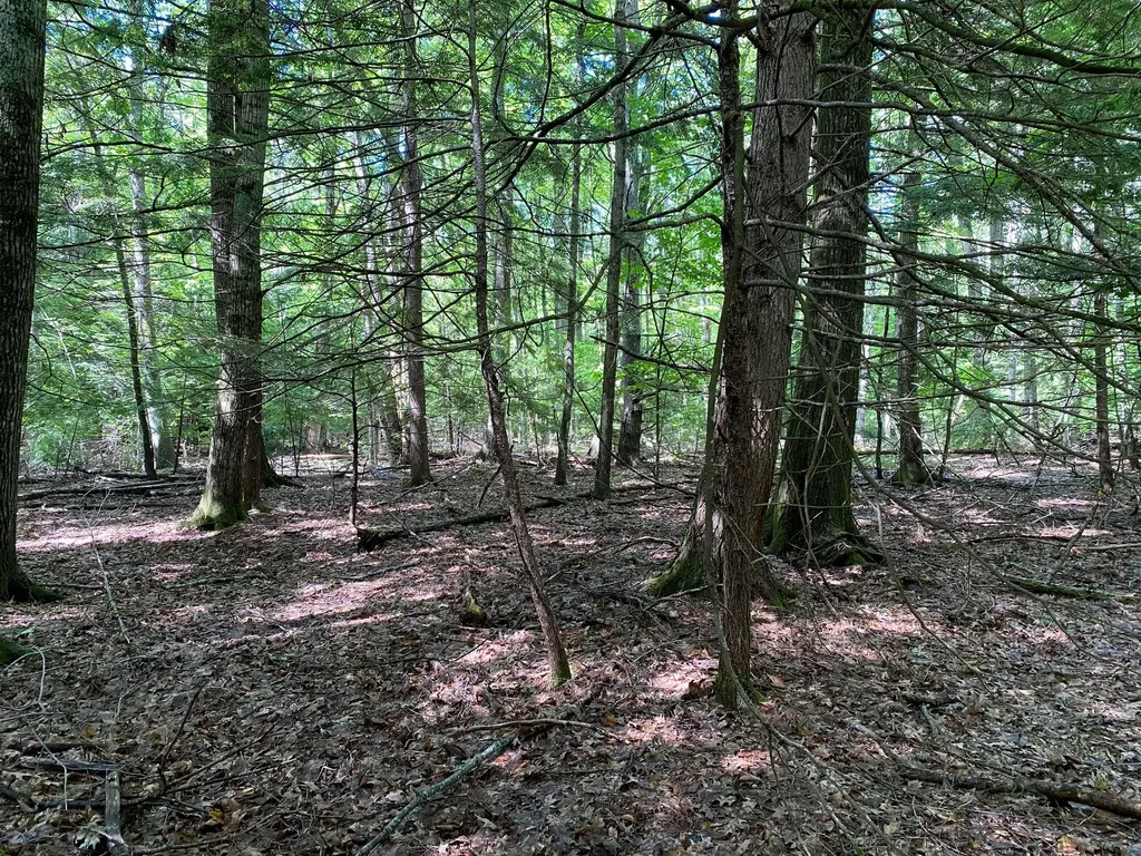 34-ACRES Deering Drive Gorham ME 04038