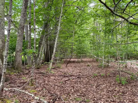 34-ACRES Deering Drive Gorham ME 04038