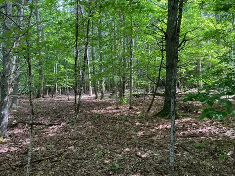 34-ACRES Deering Drive Gorham ME 04038