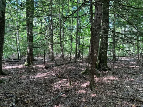 34-ACRES Deering Drive Gorham ME 04038