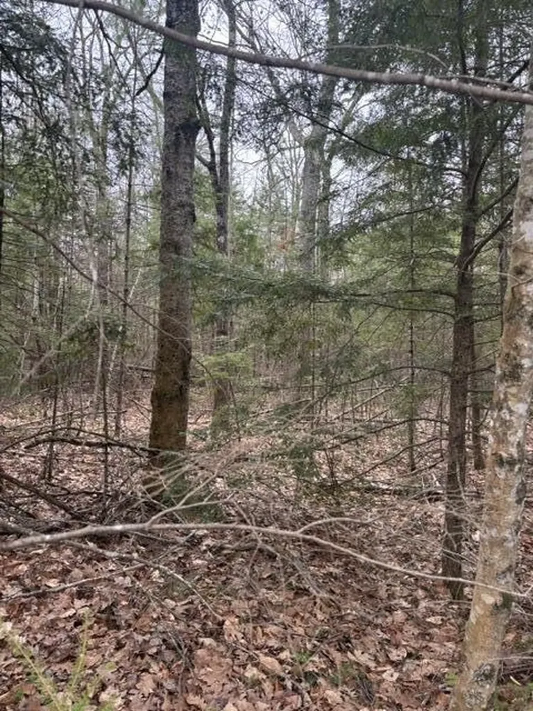 0 Old North Road West Gardiner ME 04345