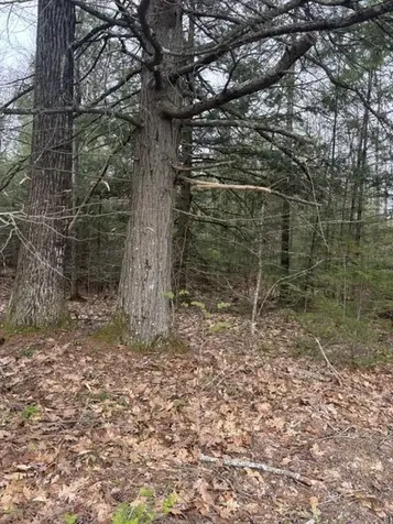 0 Old North Road West Gardiner ME 04345