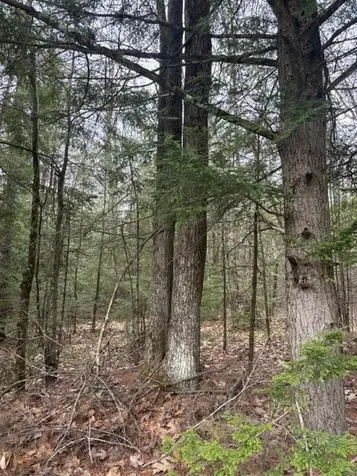 0 Old North Road West Gardiner ME 04345