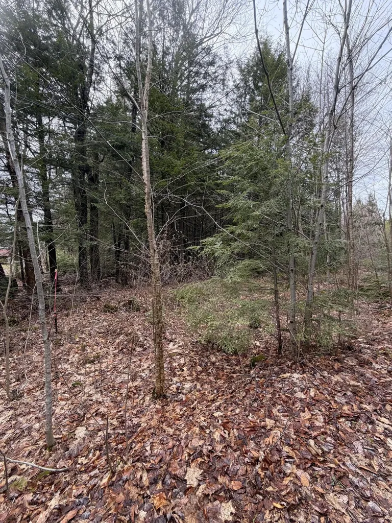 L47-2 Salmon Circle Hartland ME 04943