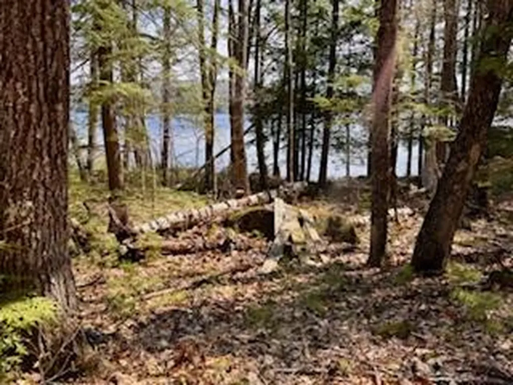 Lot #1 Wells Road S Bridgton ME 04009