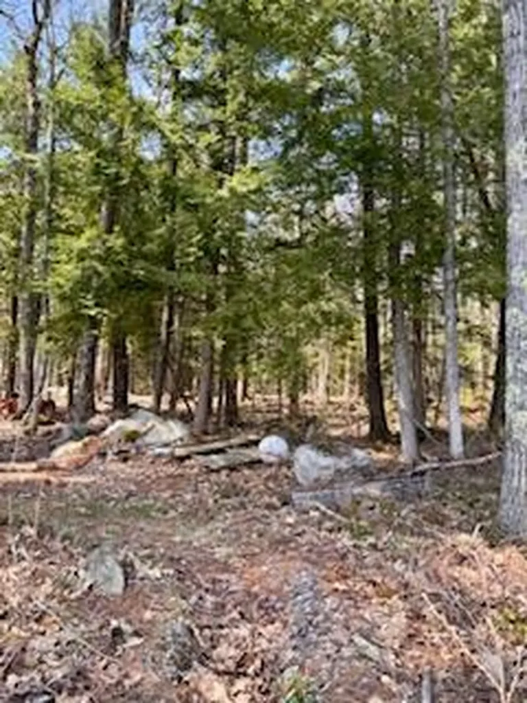 Lot #1 Wells Road S Bridgton ME 04009