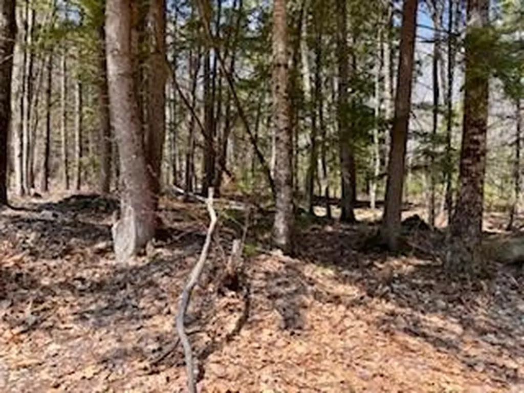 Lot #1 Lakeside Pines Road Bridgton ME 04009