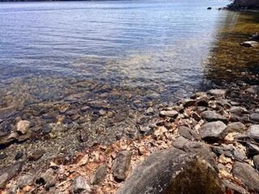 Lot #1 Wells Road S Bridgton ME 04009