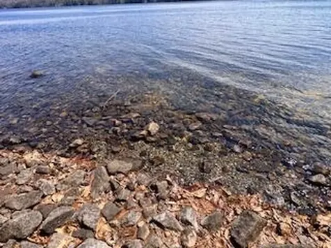 Lot #1 Wells Road S Bridgton ME 04009