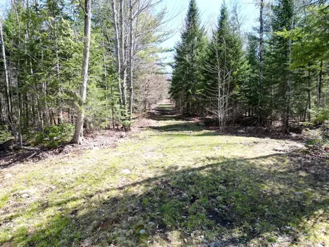 Lot 18-1 Hale Farm Road Lee ME 04455