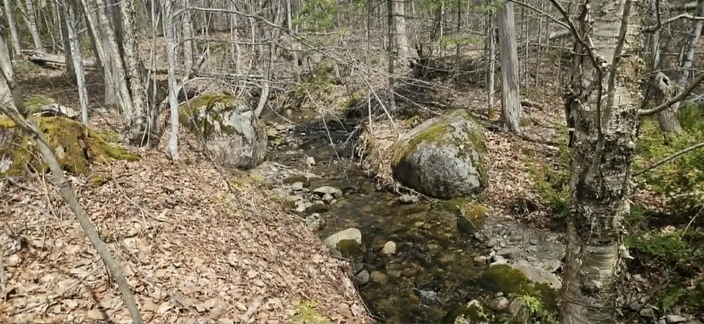 211 Loon Cove Road Hartland ME 04943