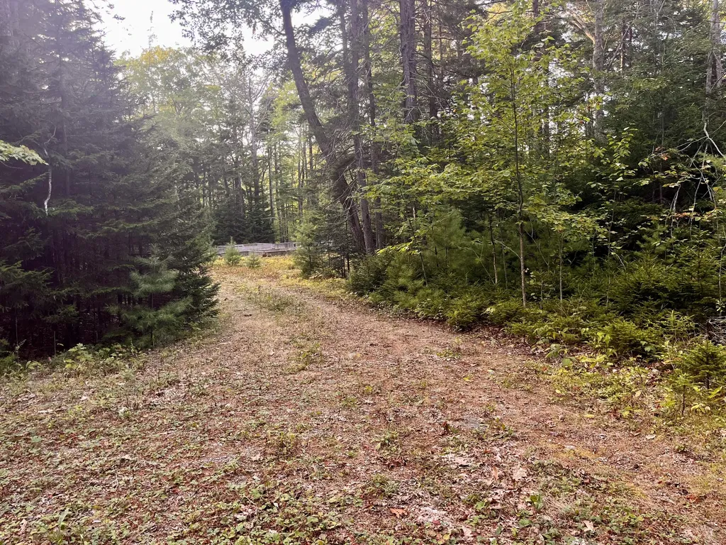 34 Bunchberry Lane Bristol ME 04539