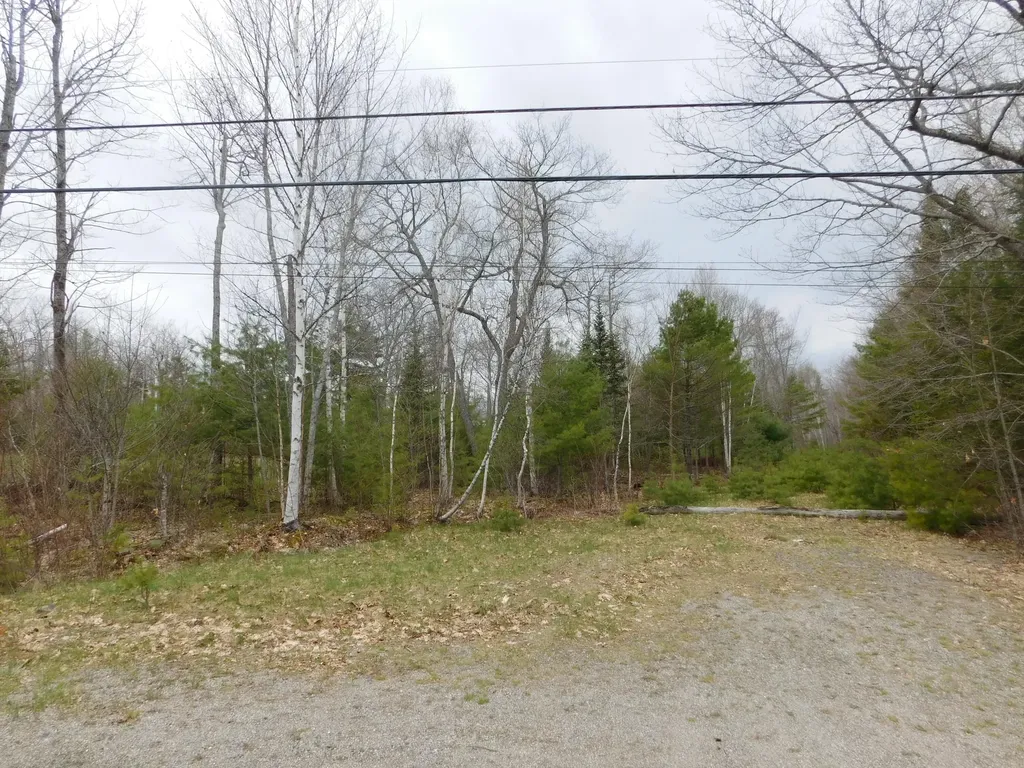 180 Chemo Pond Road Eddington ME 04428