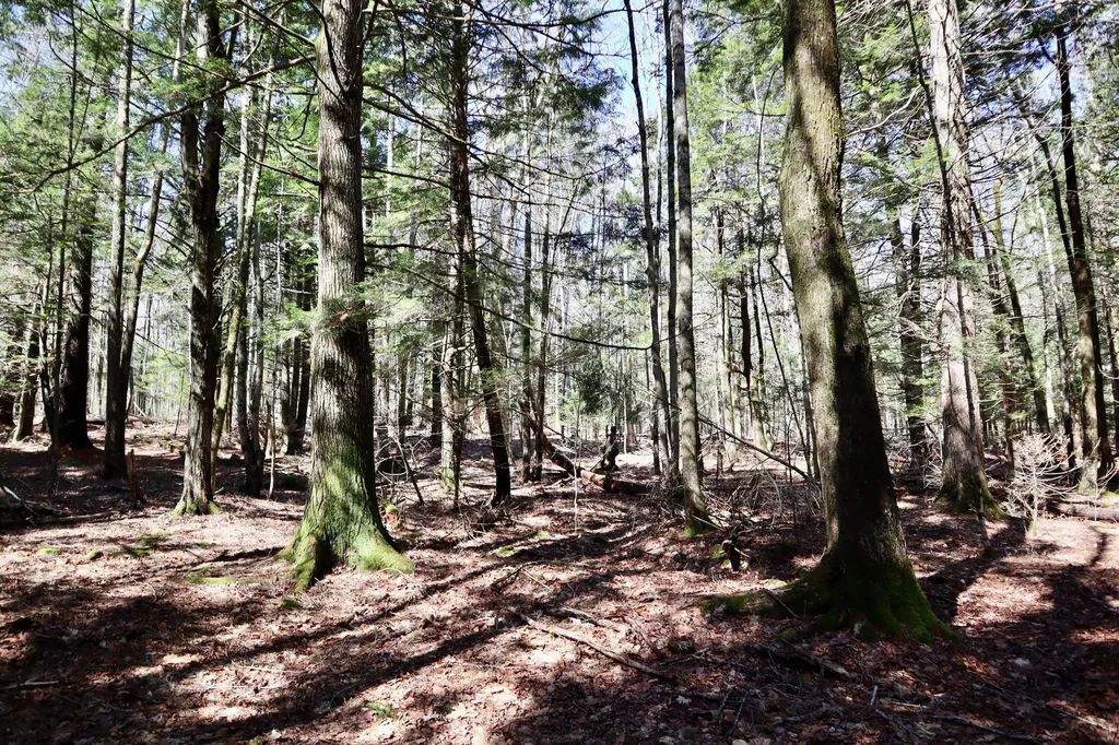 218 Plummer Road Richmond ME 04357