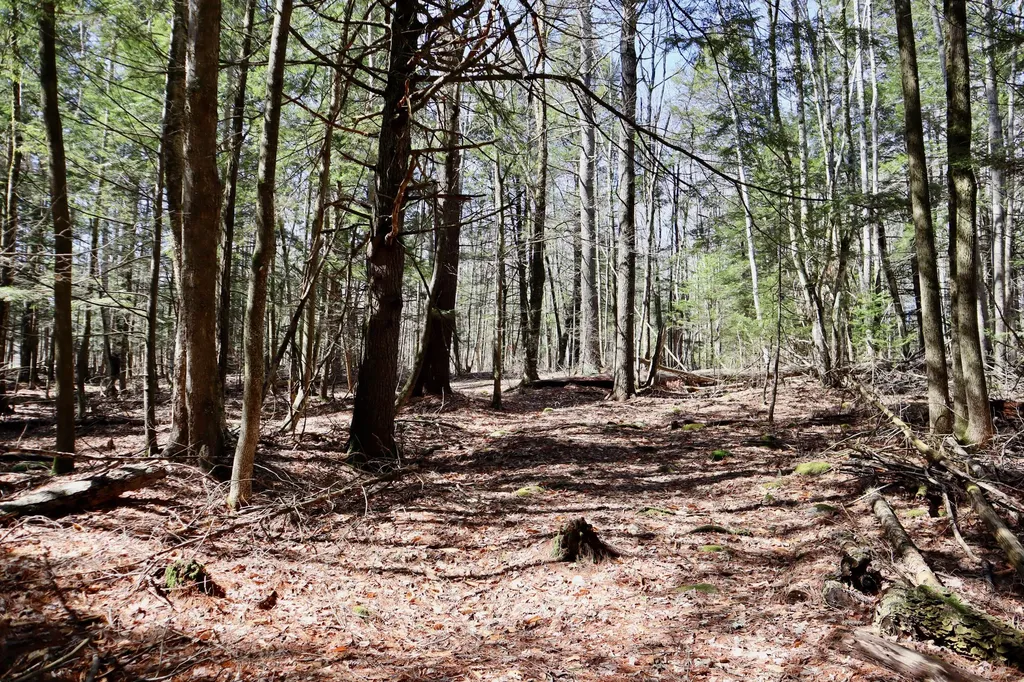 218 Plummer Road Richmond ME 04357