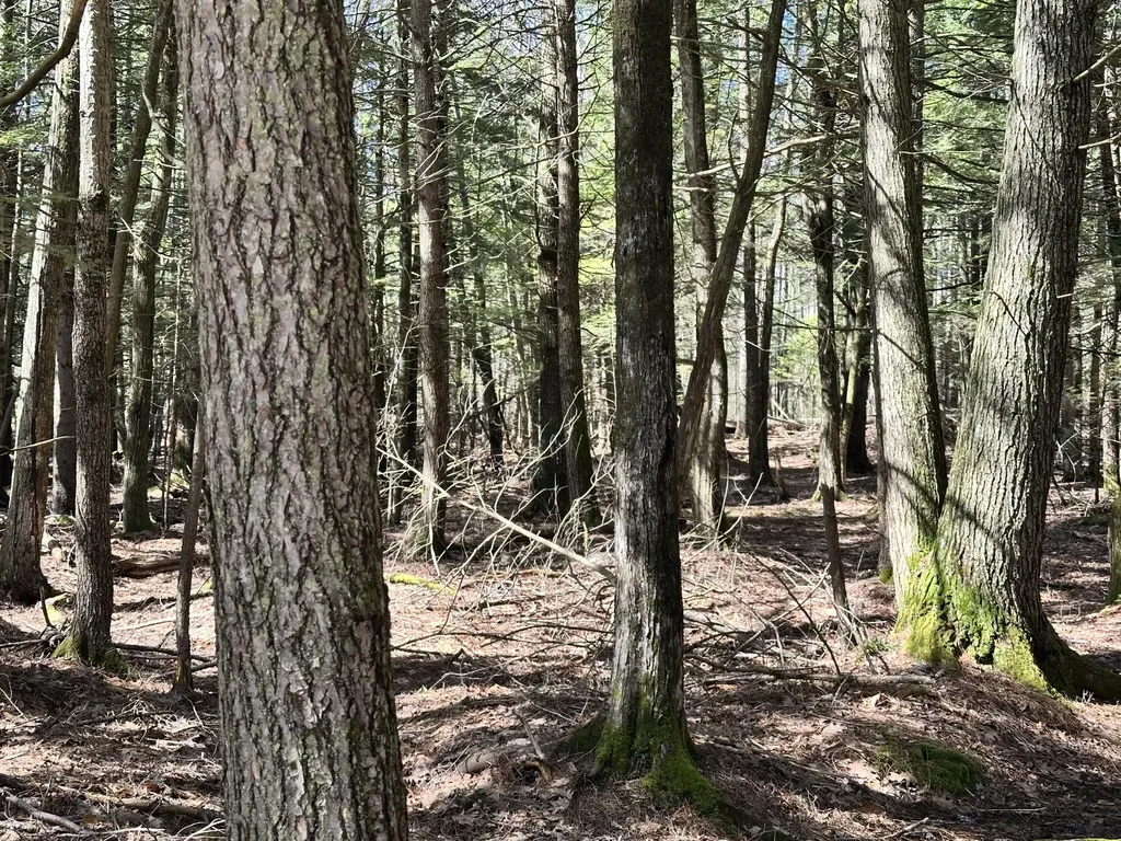 218 Plummer Road Richmond ME 04357