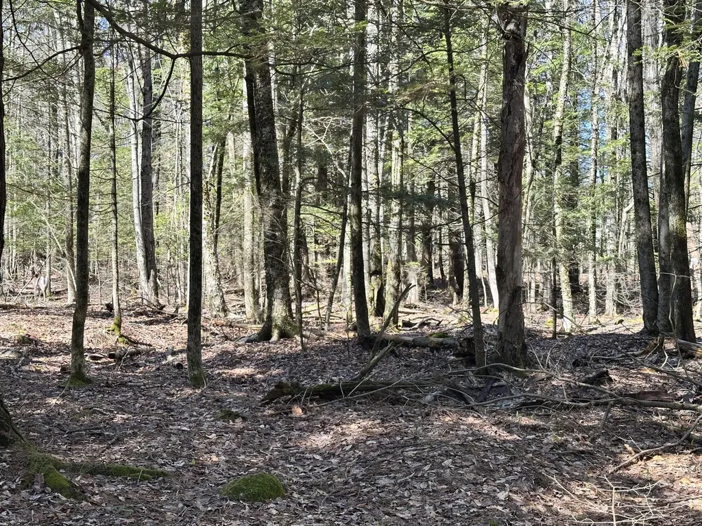 218 Plummer Road Richmond ME 04357