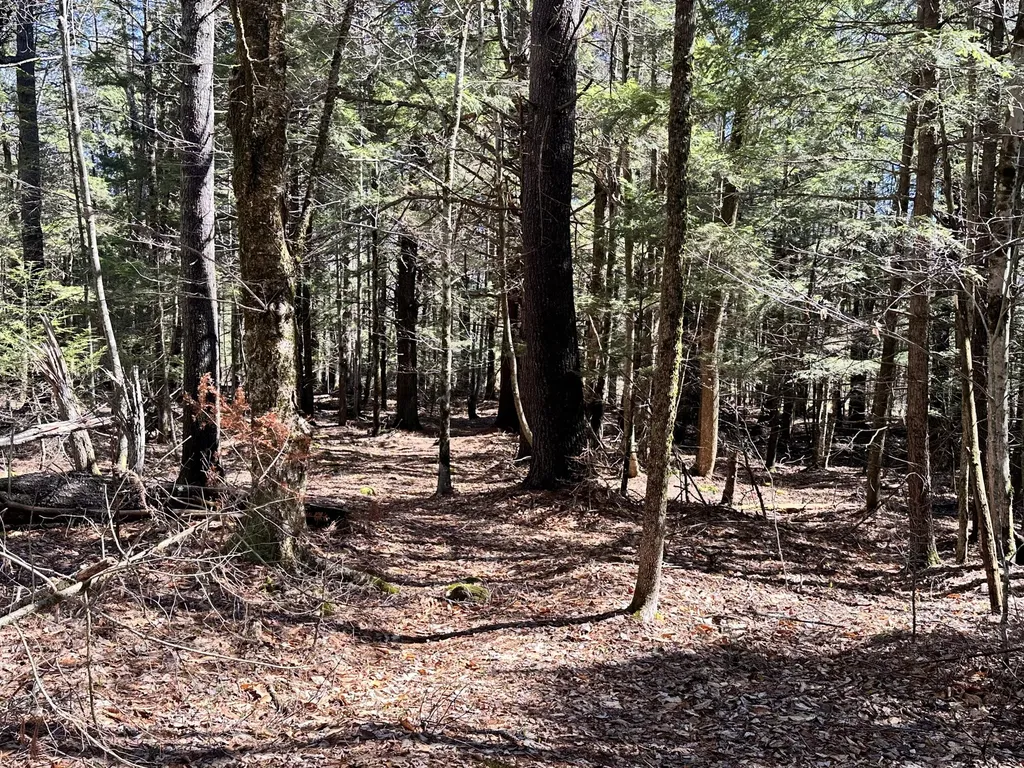 218 Plummer Road Richmond ME 04357