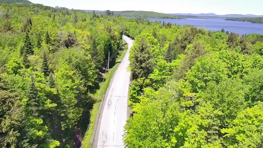 298 West Road Portage Lake ME 04768