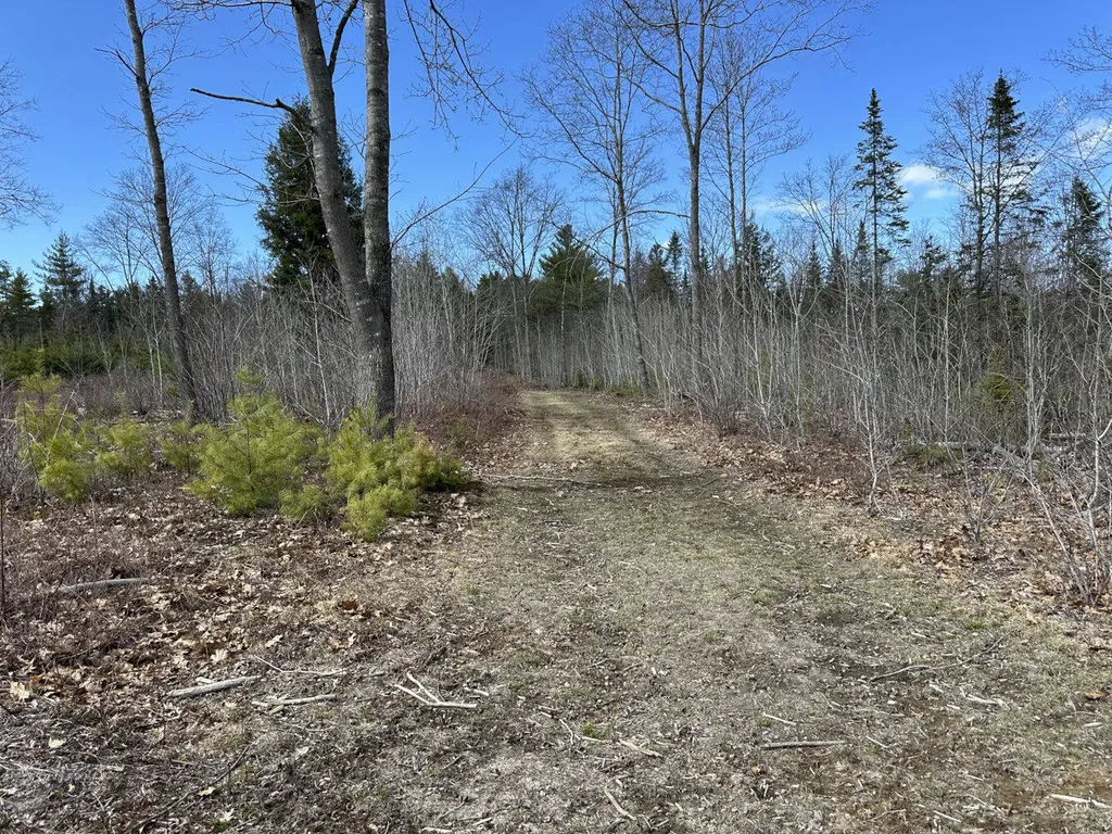 M3 L23-3 Ward Hill Road Norridgewock ME 04957