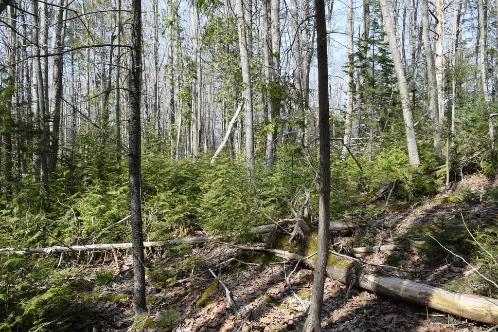 Lot 49 Heron Lane Harpswell ME 04079