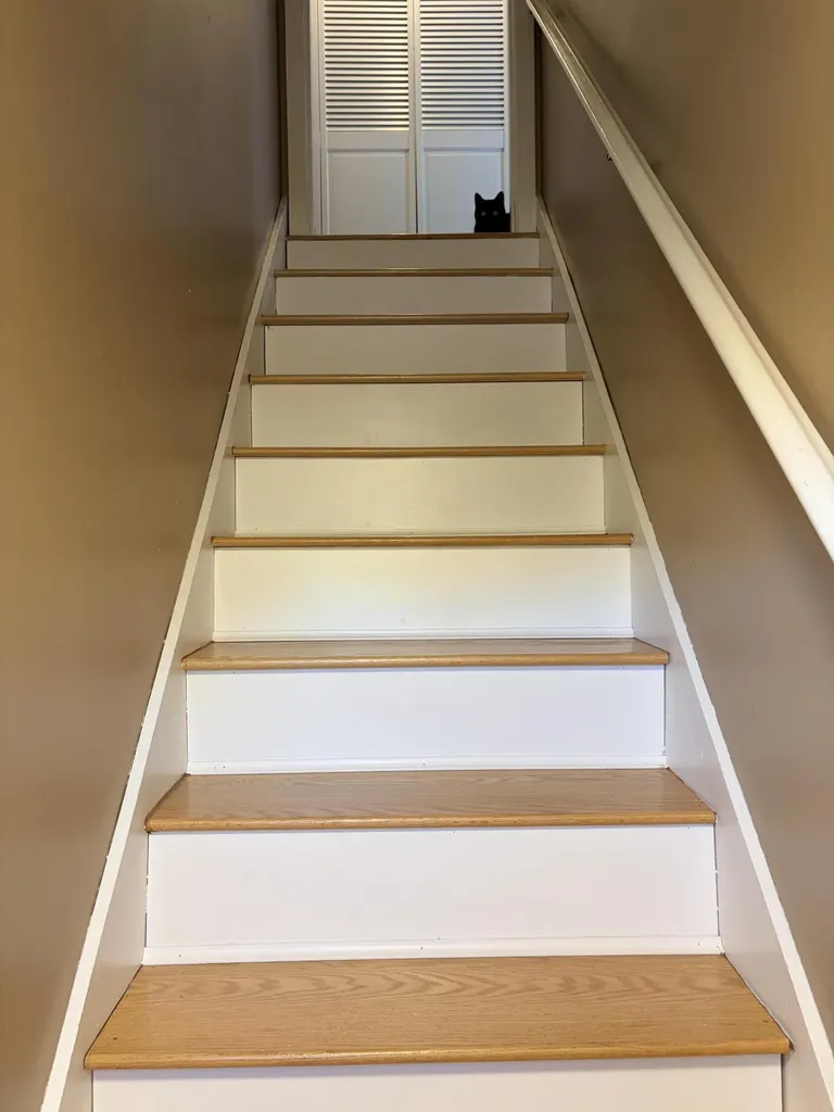 3 Woodland Avenue Standish ME 04085