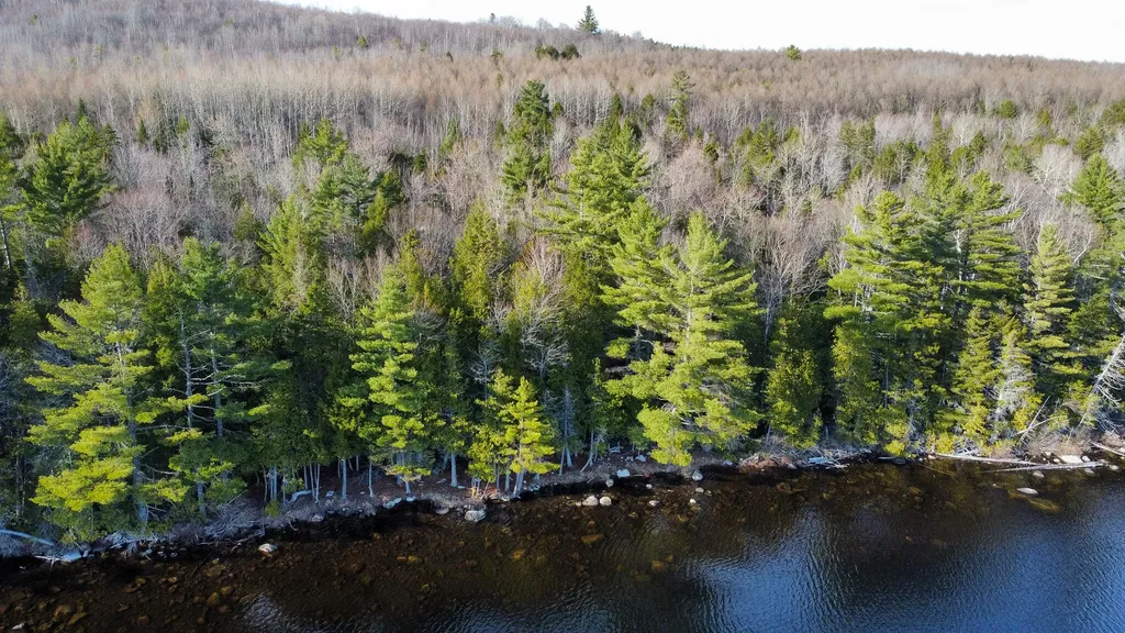 Lot 6 Bill Green Pond Road T3 R1 Nbpp ME 04455