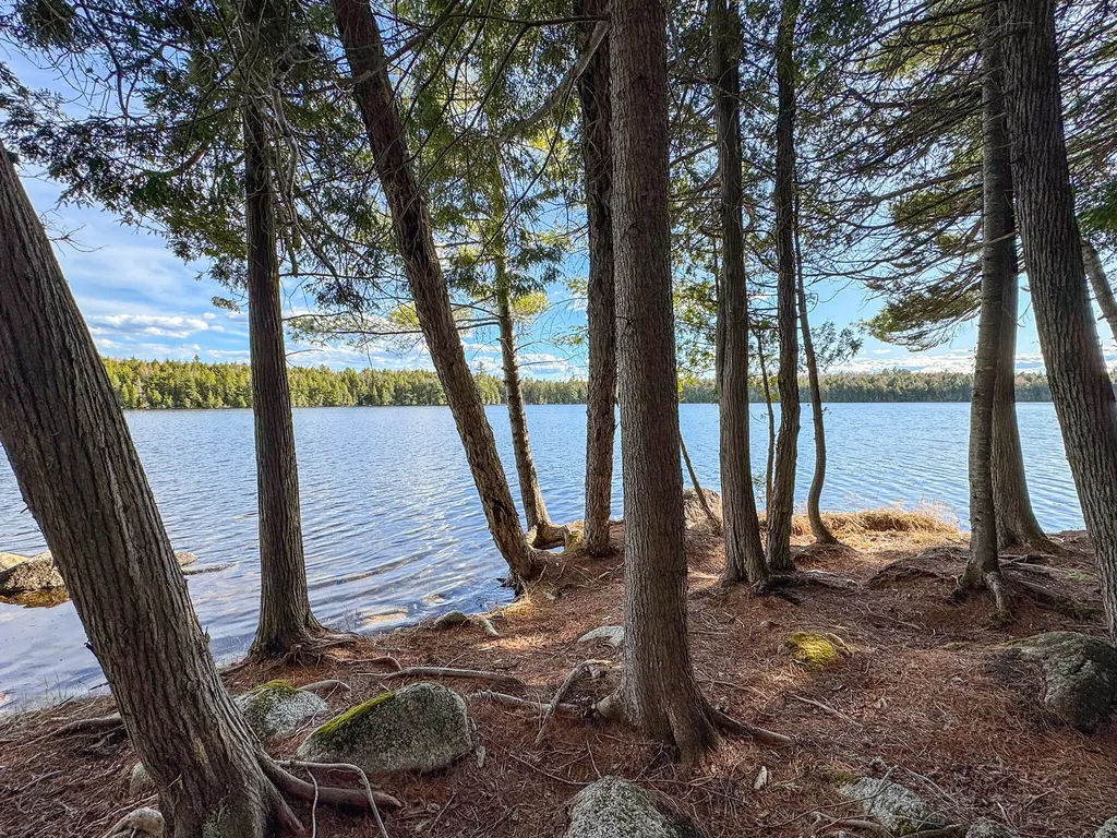 Lot 6 Bill Green Pond Road T3 R1 Nbpp ME 04455