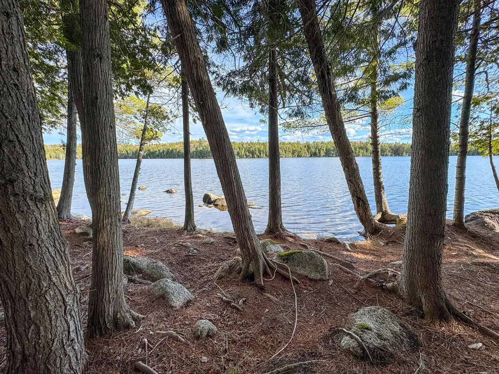 Lot 6 Bill Green Pond Road T3 R1 Nbpp ME 04455