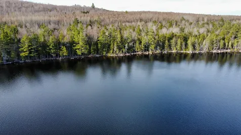 Lot 6 Bill Green Pond Road T3 R1 Nbpp ME 04455