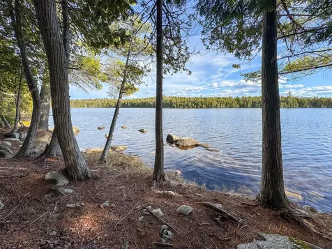 Lot 6 Bill Green Pond Road T3 R1 Nbpp ME 04455