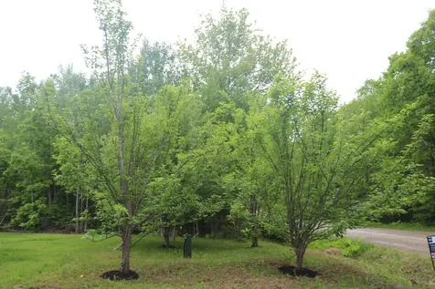 51 White Orchard Road Frankfort ME 04438