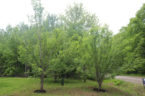 51 White Orchard Road Frankfort ME 04438