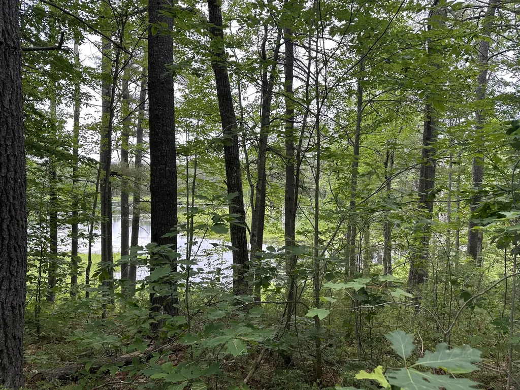 M 7 L 5-5 Blandings Lane Shapleigh ME 04076