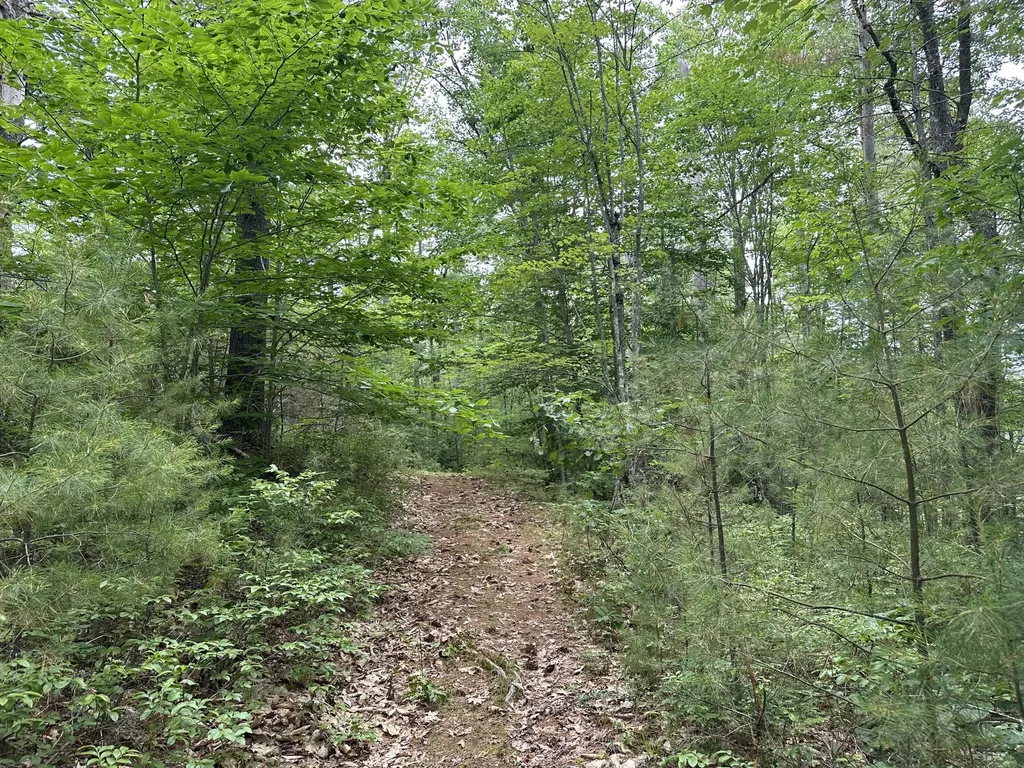 M 7 L 5-5 Blandings Lane Shapleigh ME 04076