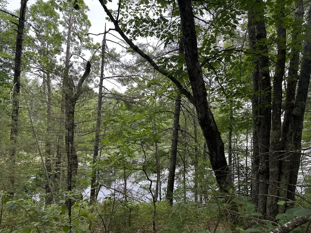 M 7 L 5-5 Blandings Lane Shapleigh ME 04076