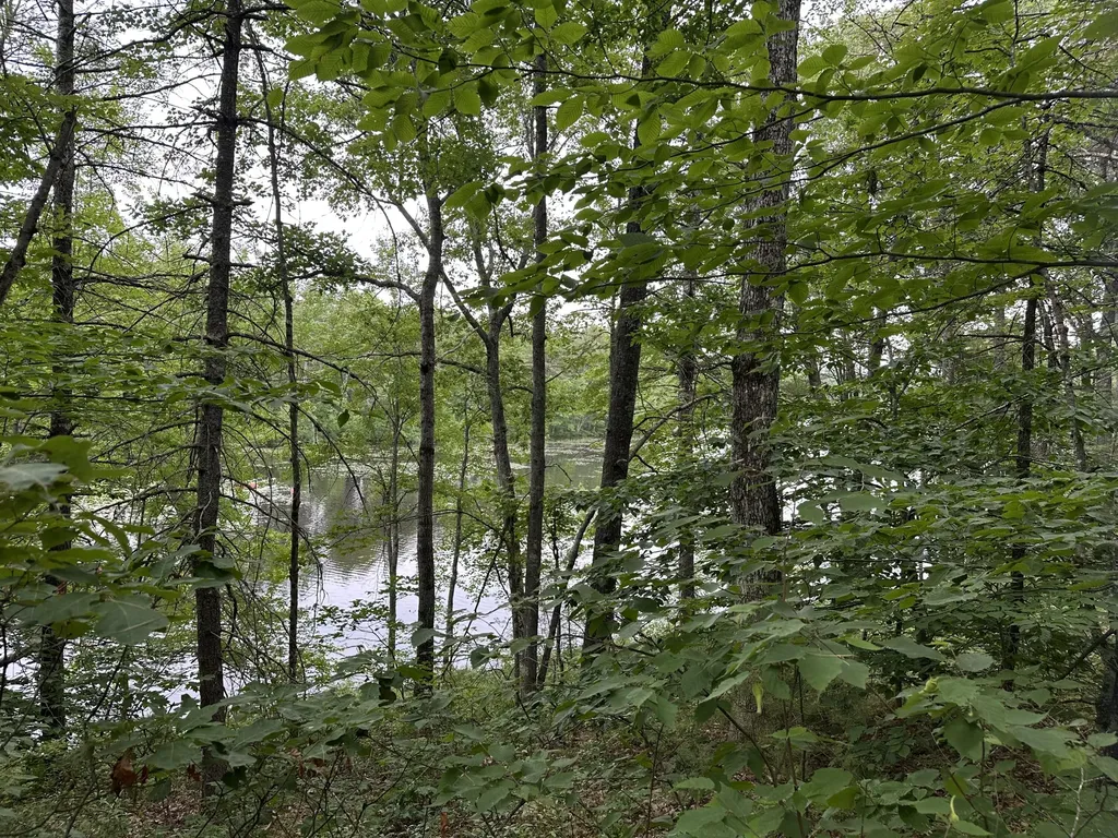 M 7 L 5-5 Blandings Lane Shapleigh ME 04076