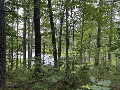M 7 L 5-5 Blandings Lane Shapleigh ME 04076
