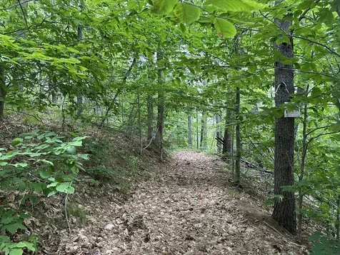 M 7 L 5-5 Blandings Lane Shapleigh ME 04076