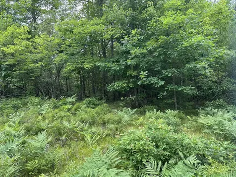 M 7 L 5-5 Blandings Lane Shapleigh ME 04076